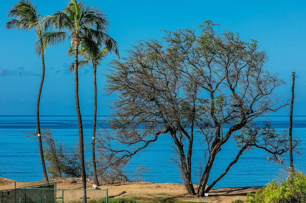 Photo of Outdoor in Kihei