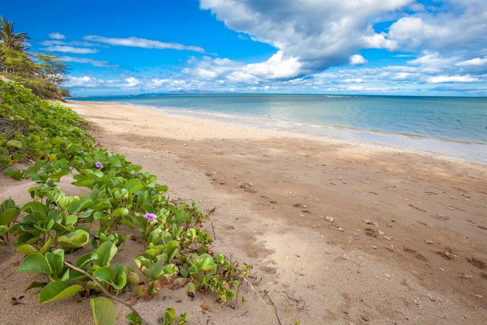 Photo of Outdoor in Kihei