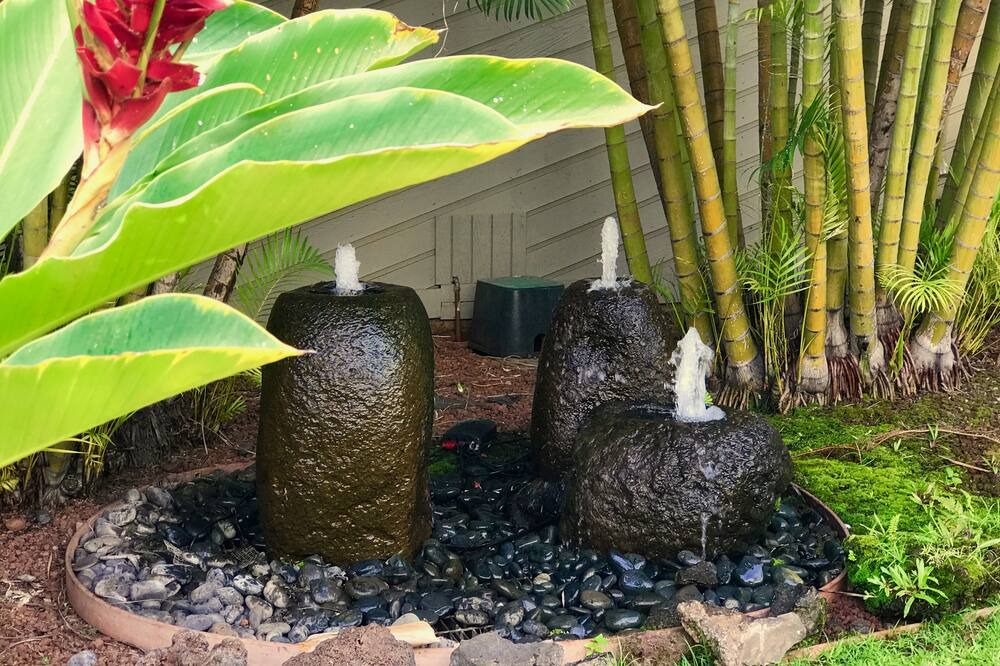 Photo of Others in Historic Lahaina Front Street