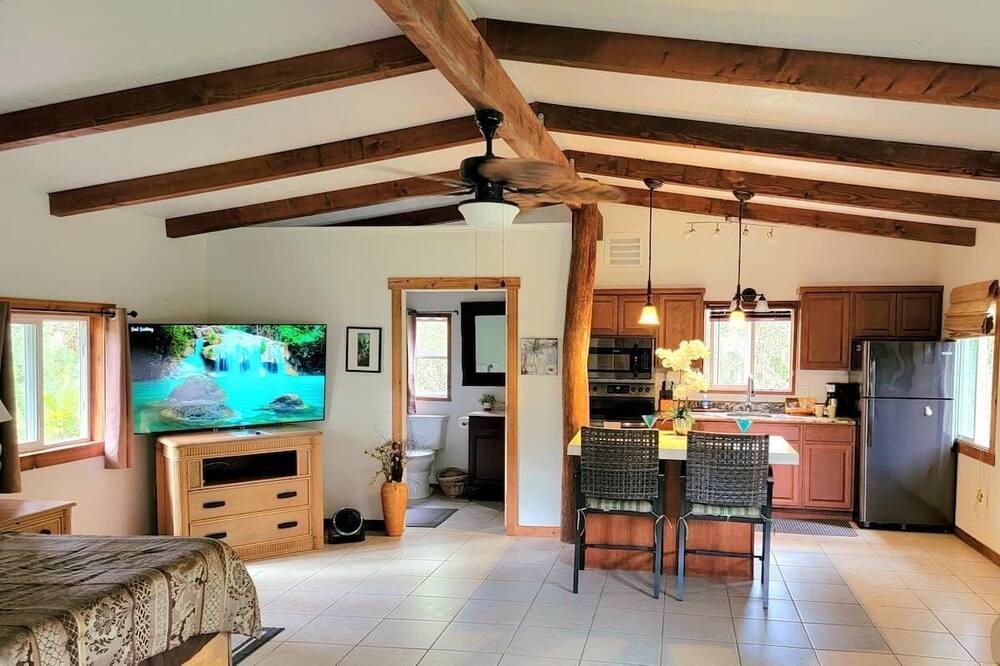 Photo of Livingroom in Leilani Estates