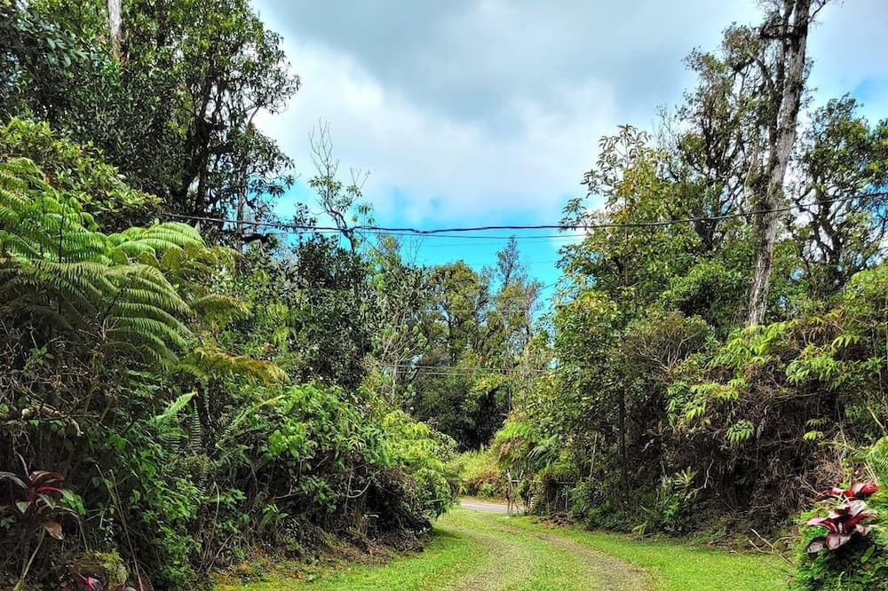 Photo of Outdoor in Leilani Estates