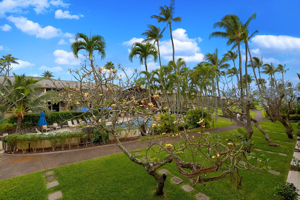 Photo of Outdoor in Napili
