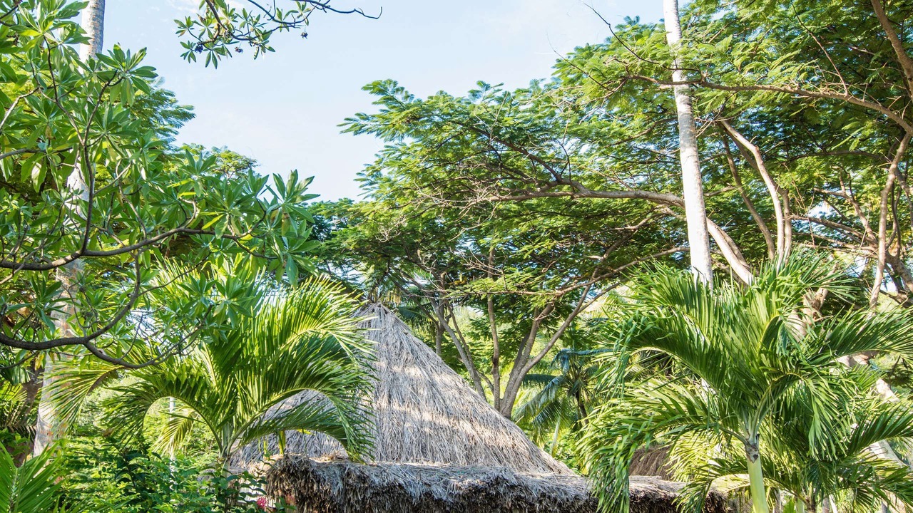 Photo of Outdoor in Castaway Island