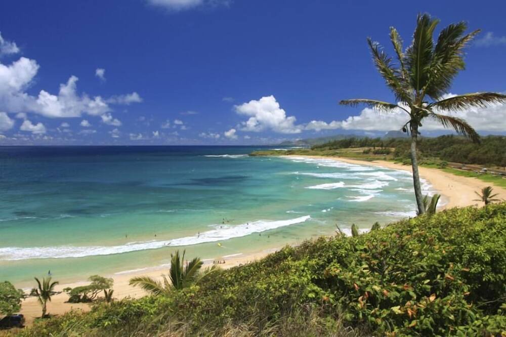 Photo of Outdoor in Wailua
