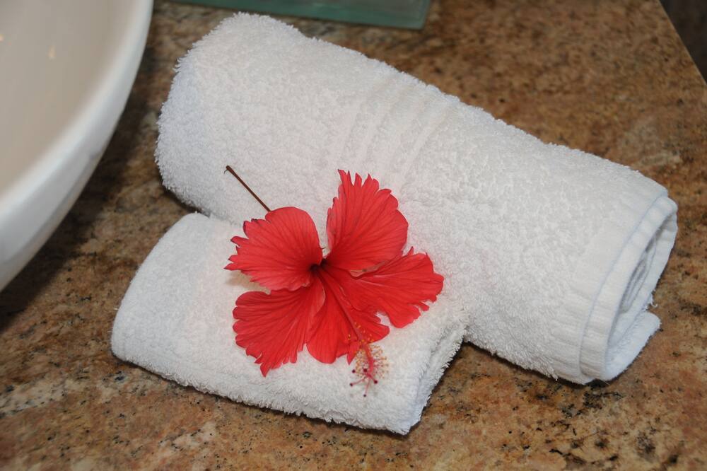 Photo of Bathroom in Eden Island