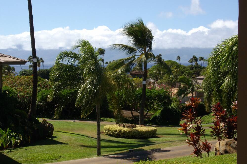 Photo of Outdoor in Kaanapali