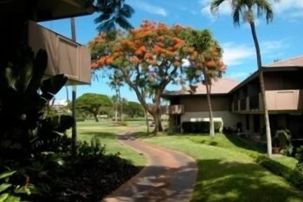 Photo of Outdoor in Kaanapali