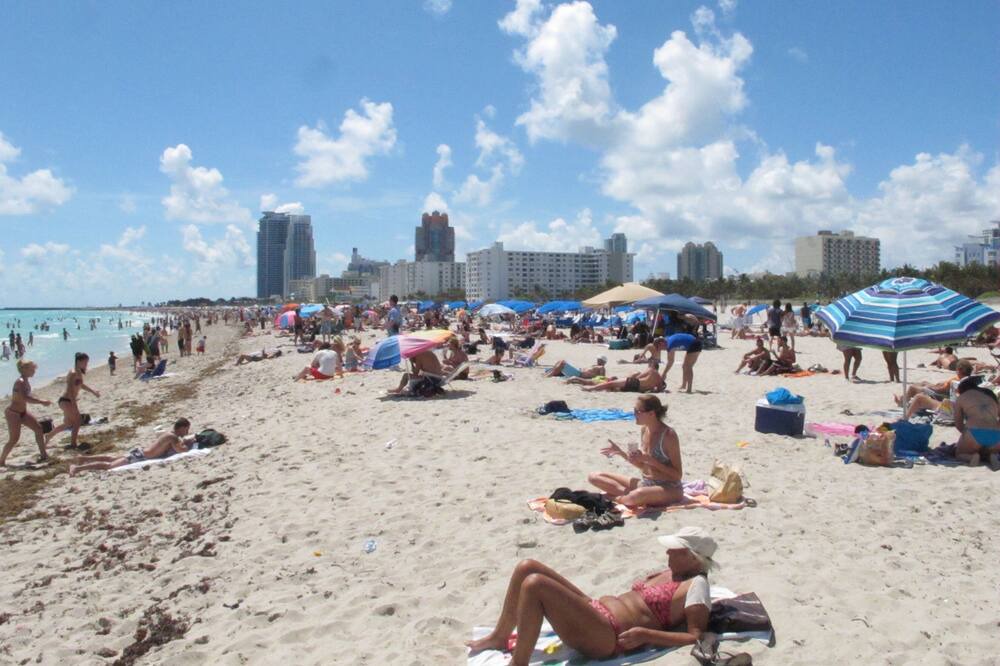 Photo of Others in South of Fifth