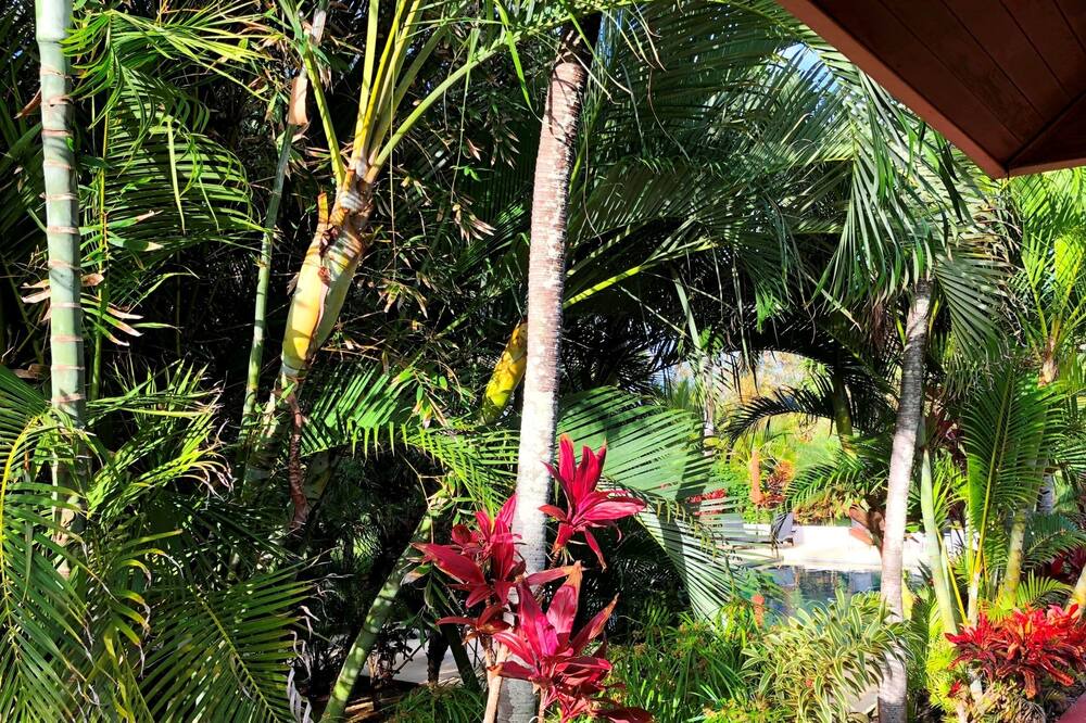 Photo of Outdoor in Kahului