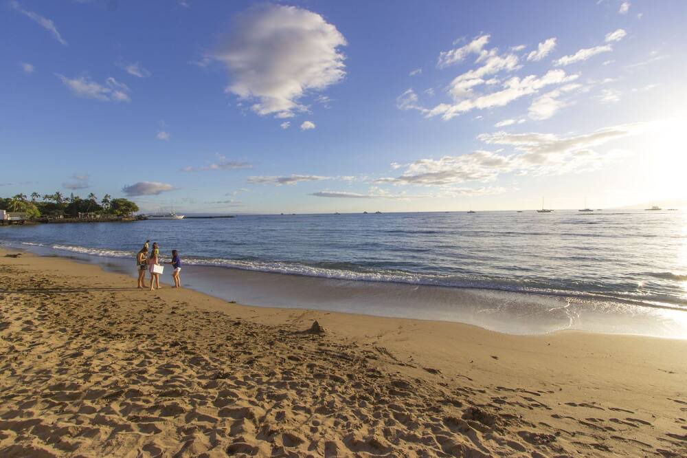 Photo of Others in Historic Lahaina Front Street