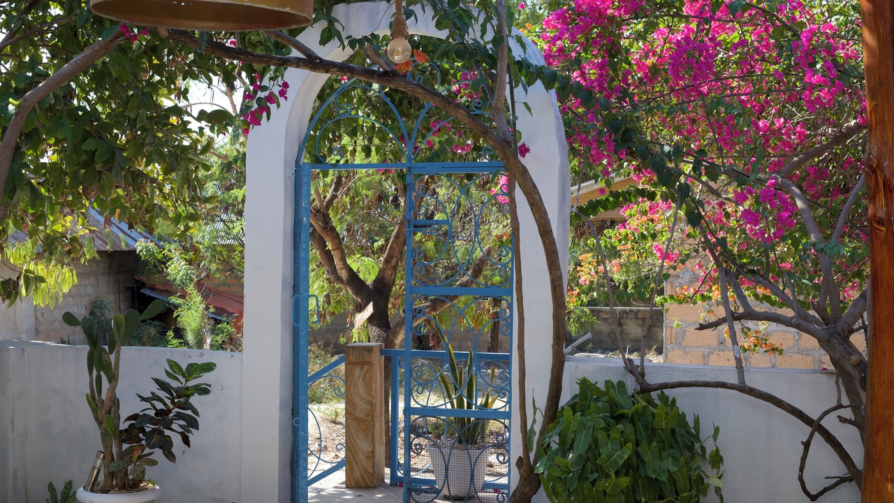 Photo of Outdoor in Jambiani