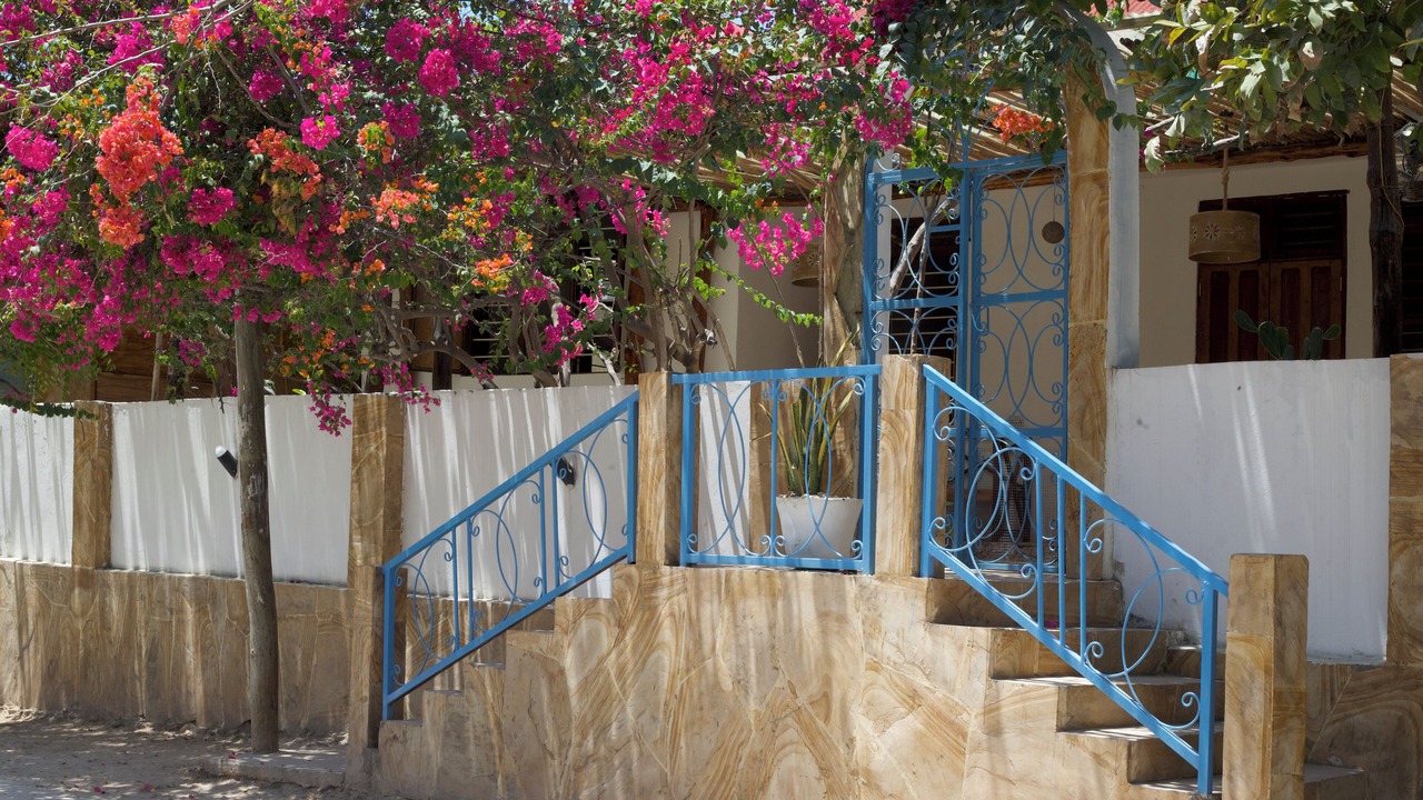 Photo of Outdoor in Jambiani