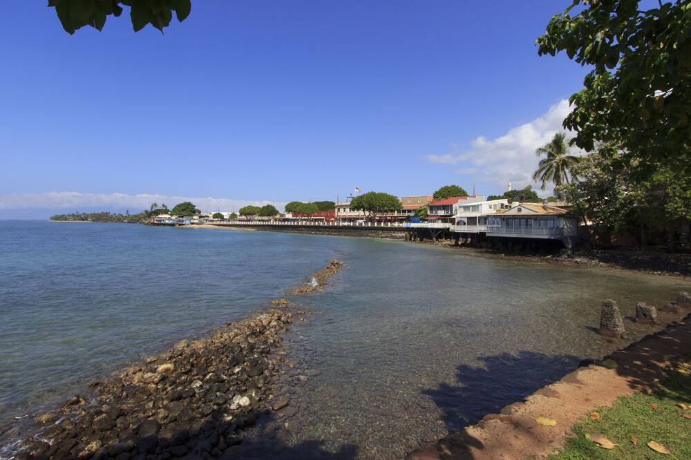 Photo of Others in Historic Lahaina Front Street