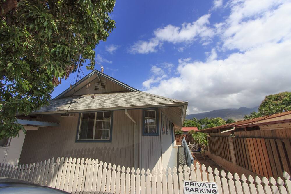 Photo of Others in Historic Lahaina Front Street