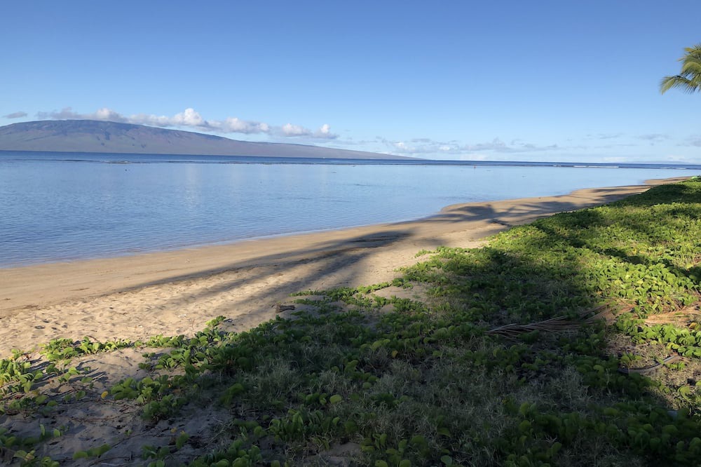 Photo of Others in Historic Lahaina Front Street