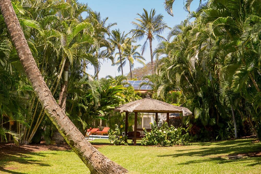 Photo of Outdoor in Historic Lahaina Front Street