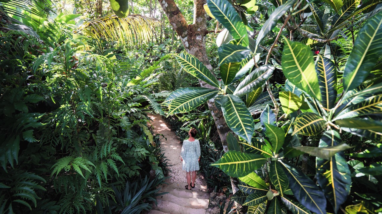 Photo of Outdoor in Savusavu
