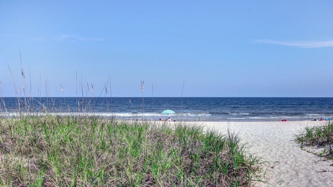 Photo of Others in Fernandina Beach