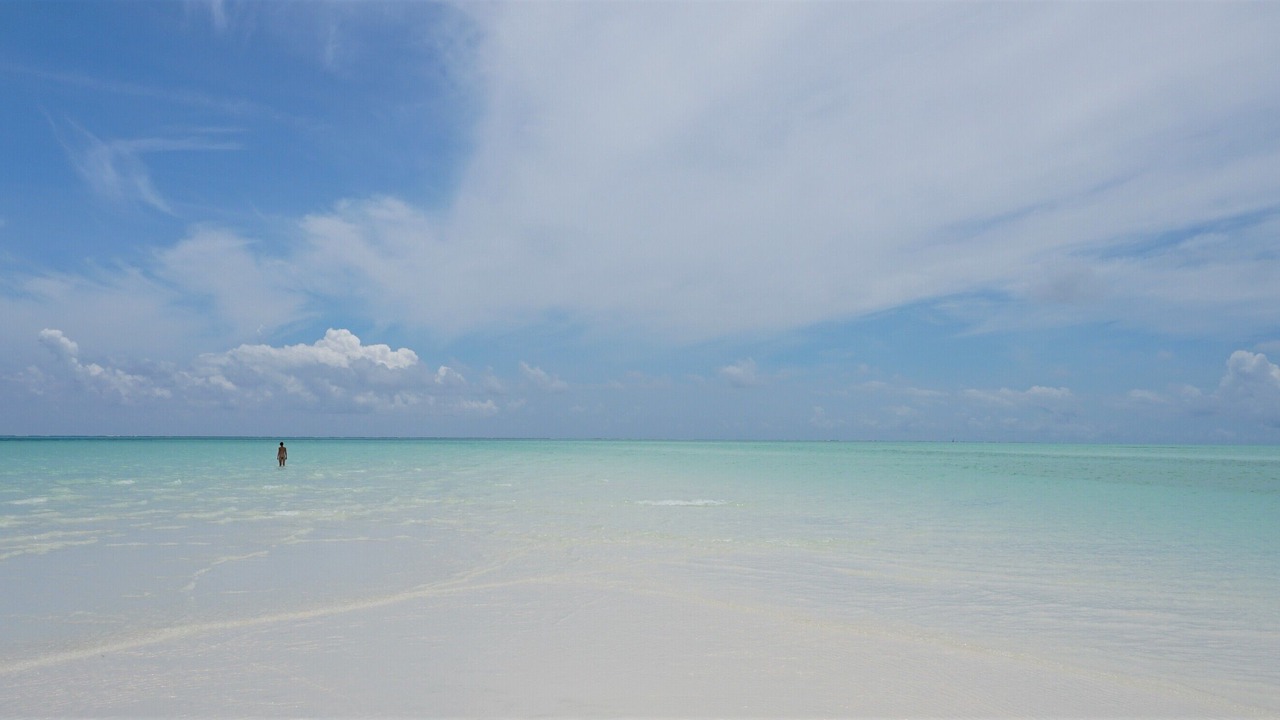 Photo of Others in Jambiani