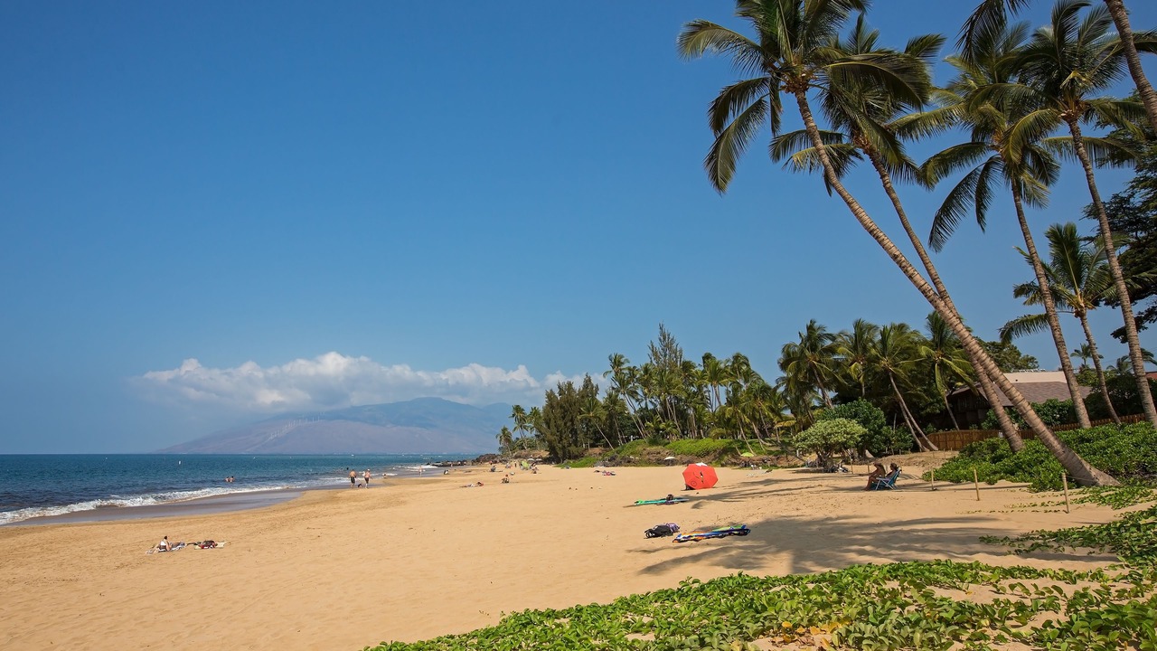 Photo of Others in Kihei