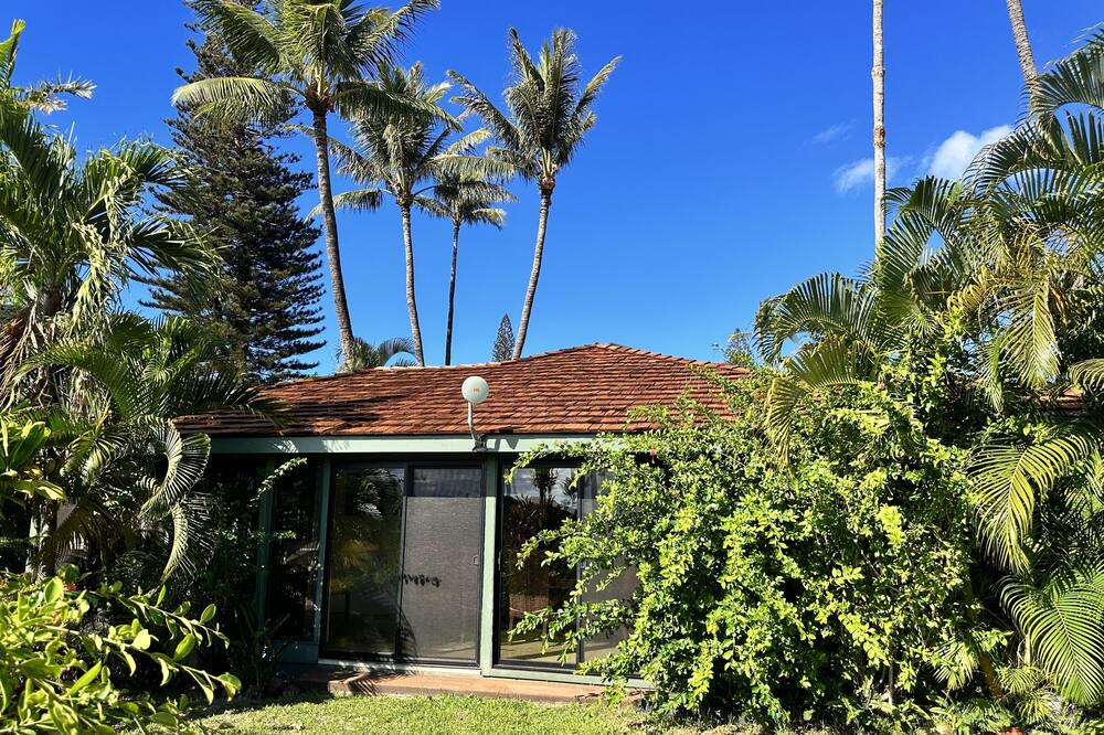 Photo of Outdoor in Kaanapali