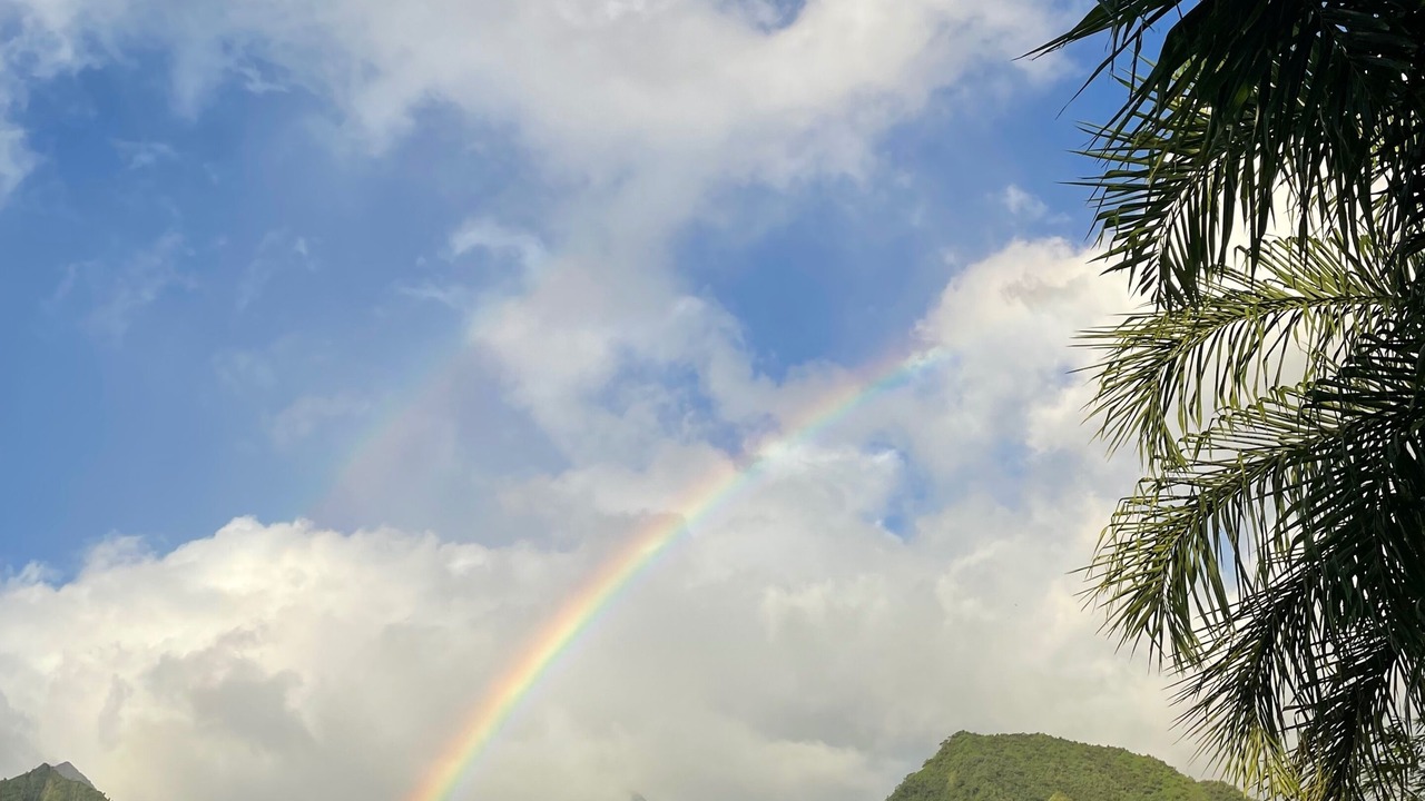 Photo of Others in Teahupo'o