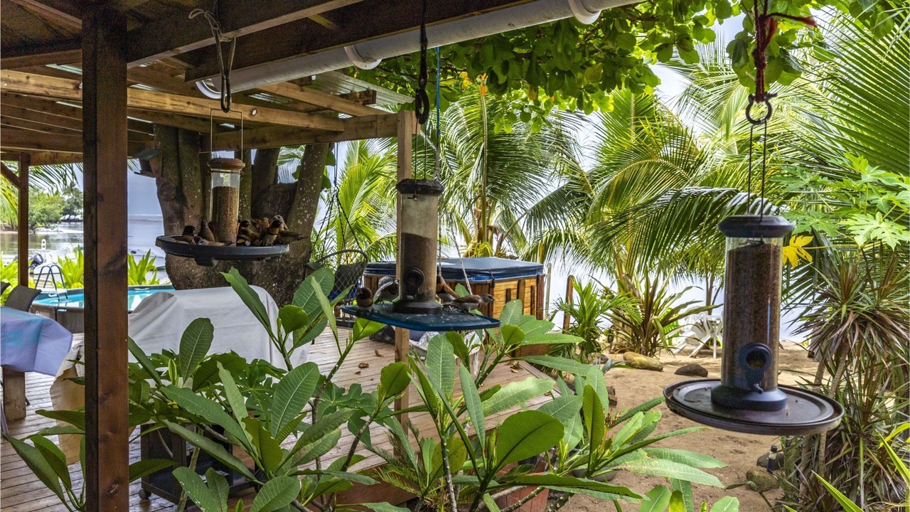 Photo of Others in Moorea-Maiao