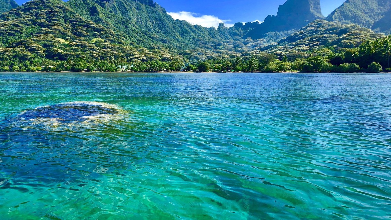 Photo of Others in Moorea-Maiao
