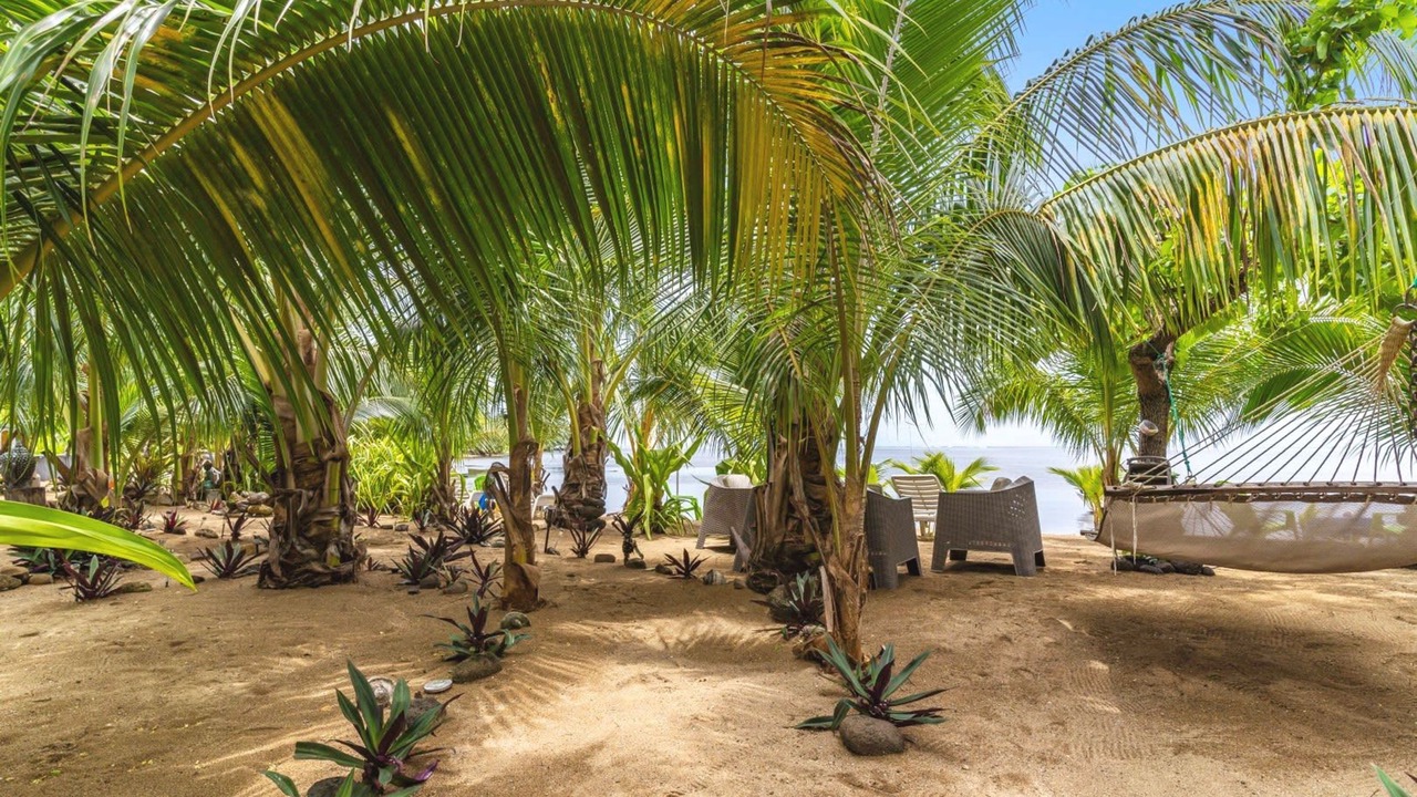 Photo of Others in Moorea-Maiao