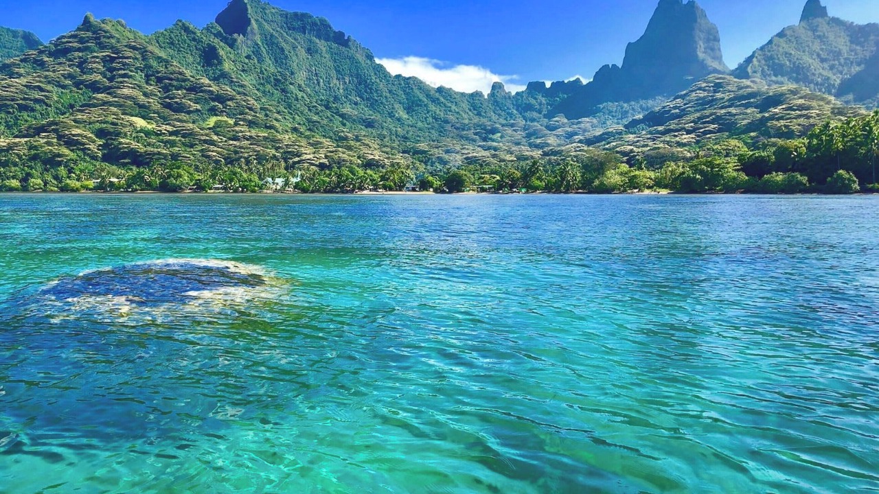 Photo of Others in Moorea-Maiao