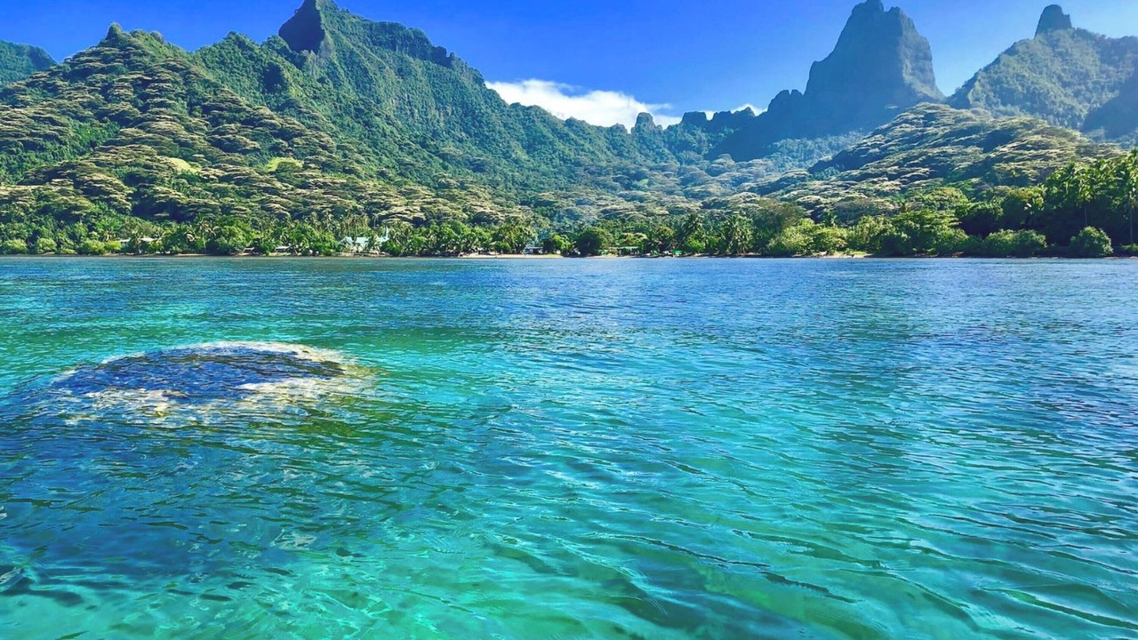 Photo of Others in Moorea-Maiao
