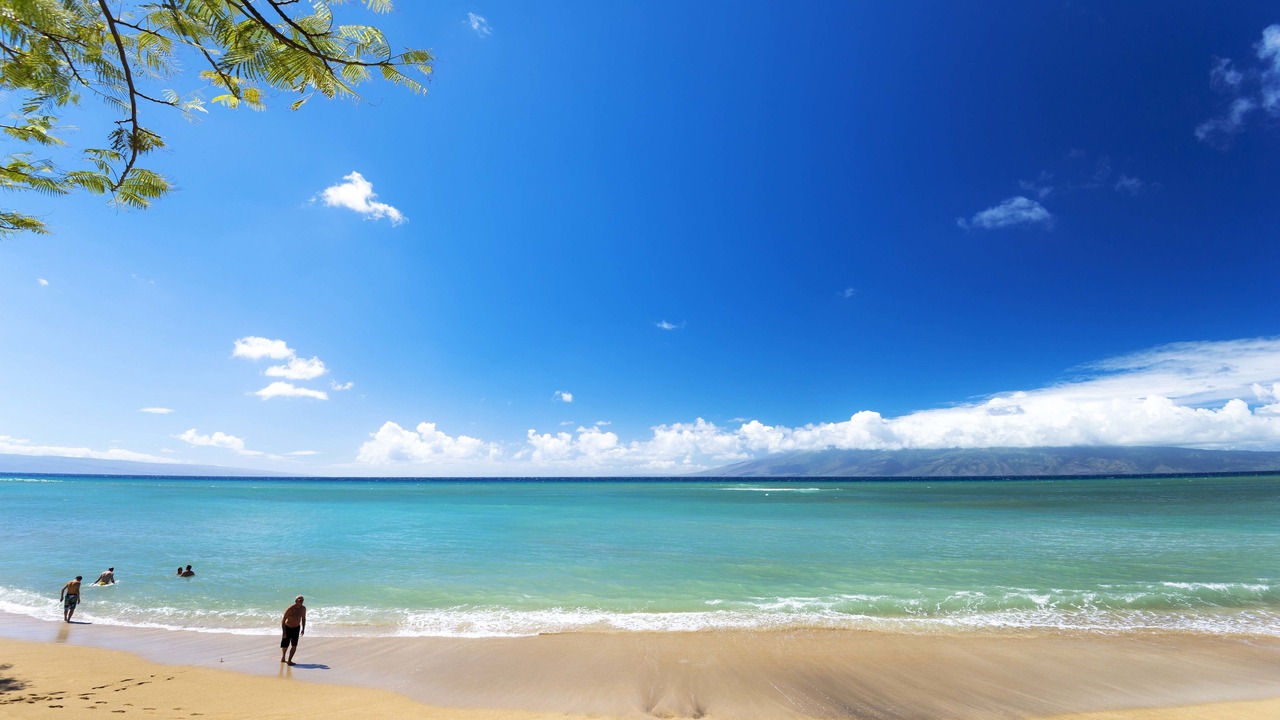 Photo of Others in Kahana