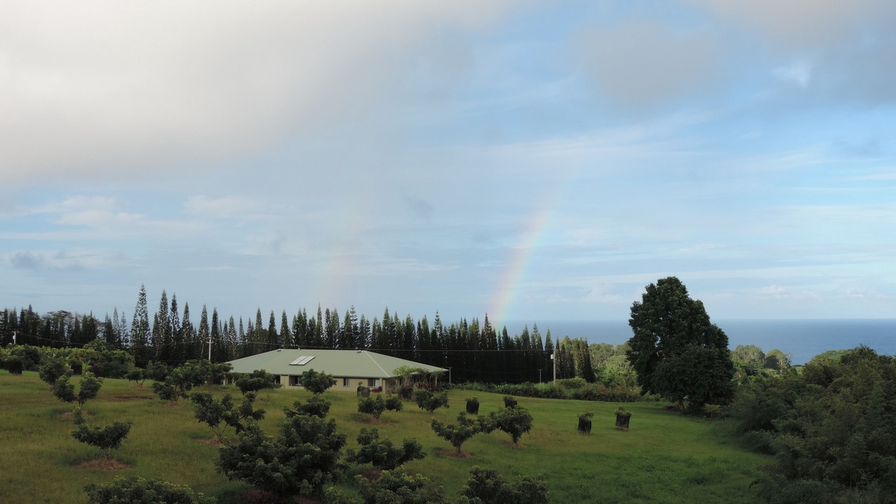 Photo of Outdoor in Hakalau