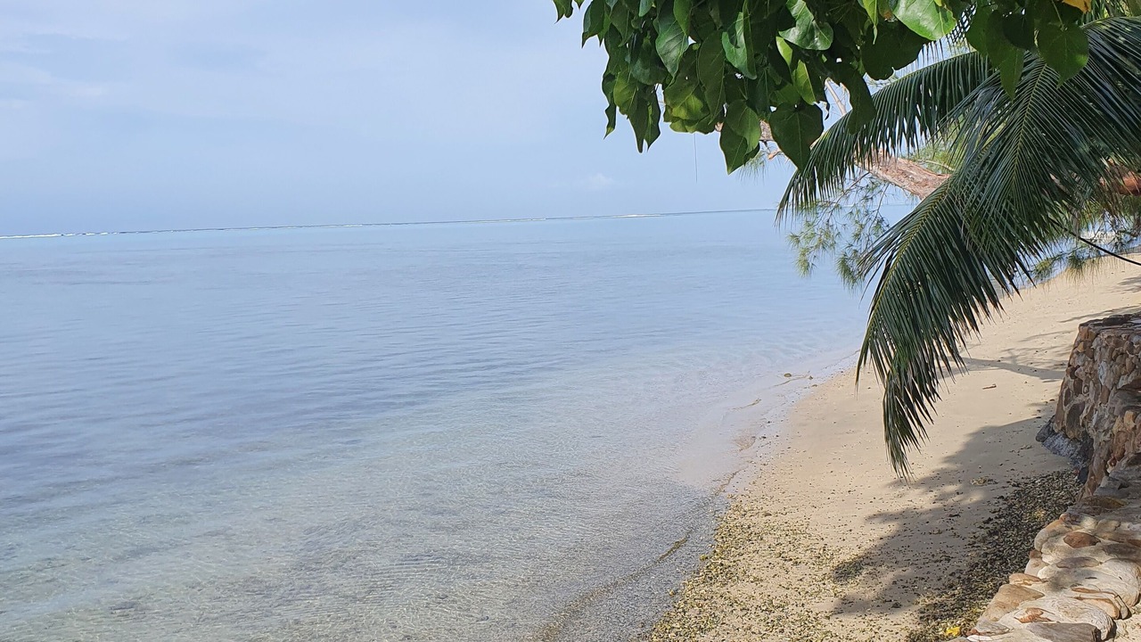 Photo of Outdoor in Moorea-Maiao