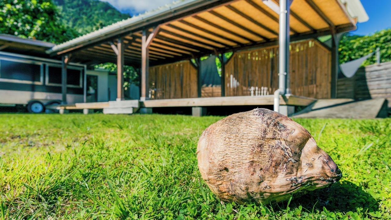 Photo of Outdoor in Moorea-Maiao