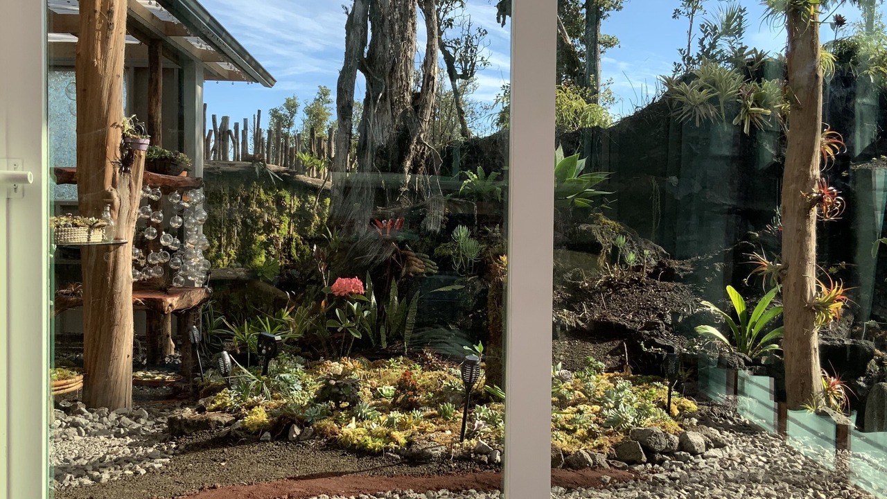 Photo of Others in Mountain View