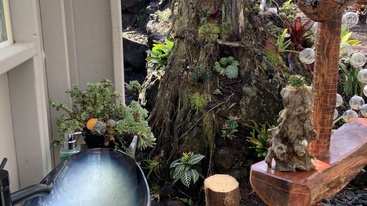 Photo of Outdoor in Mountain View