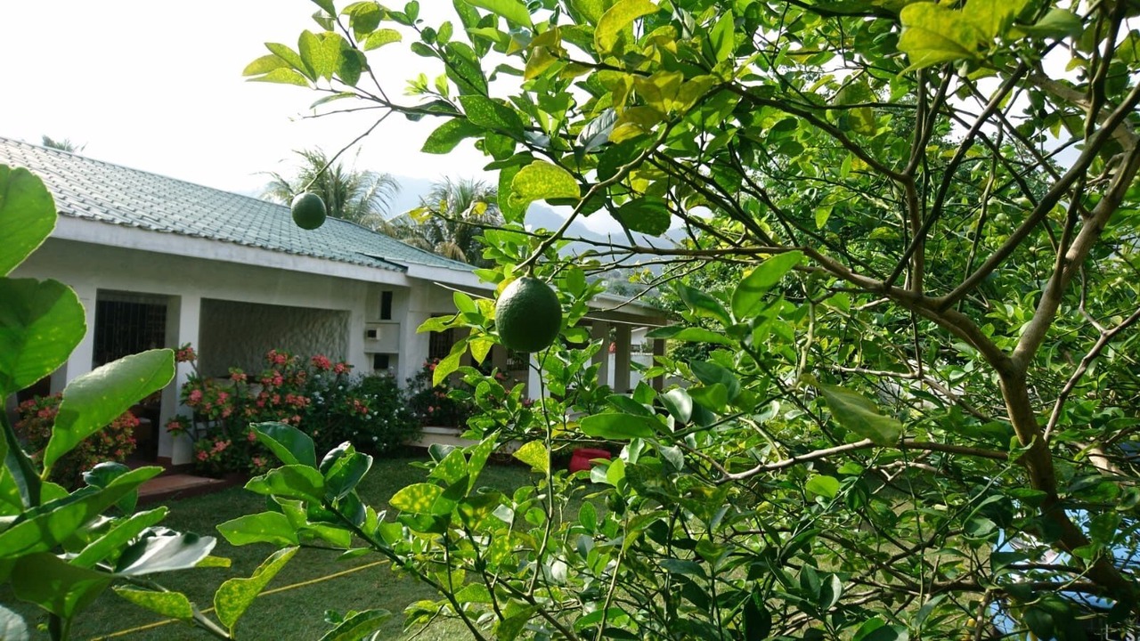 Photo of Outdoor in Mahe Island