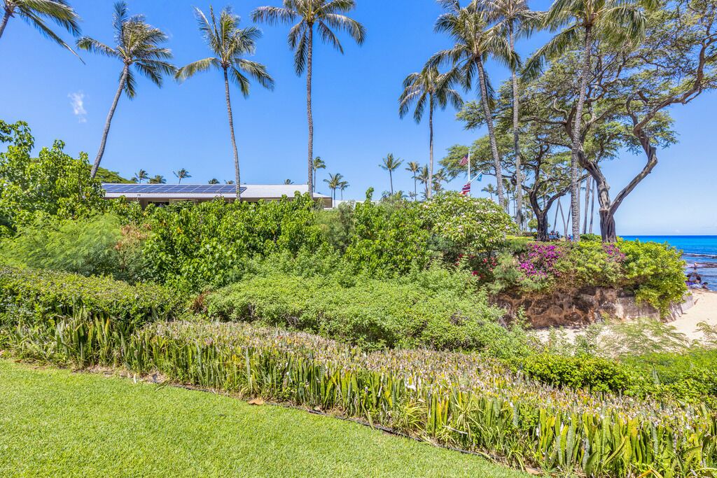 Photo of Others in Napili