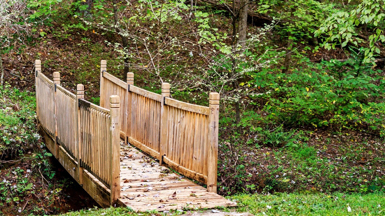 Photo of Others in Lake Lure