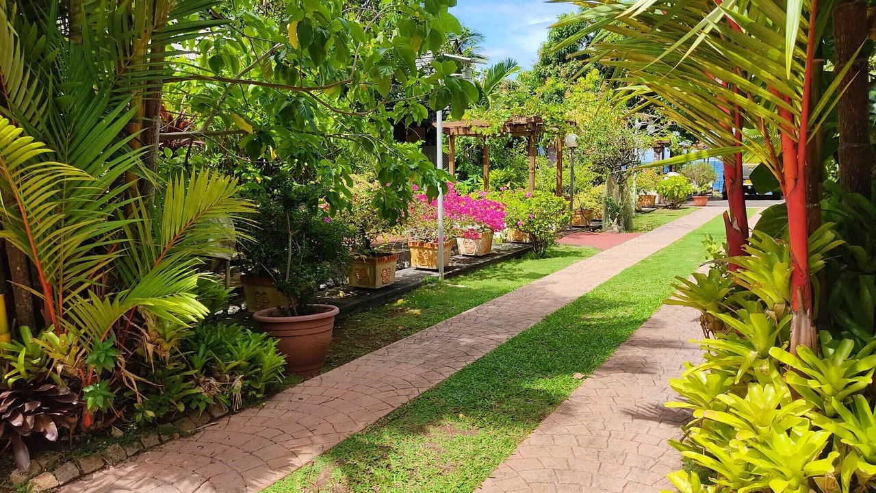 Photo of Outdoor in Papara