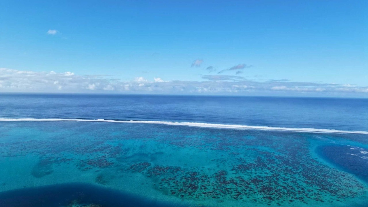 Photo of Others in Papara