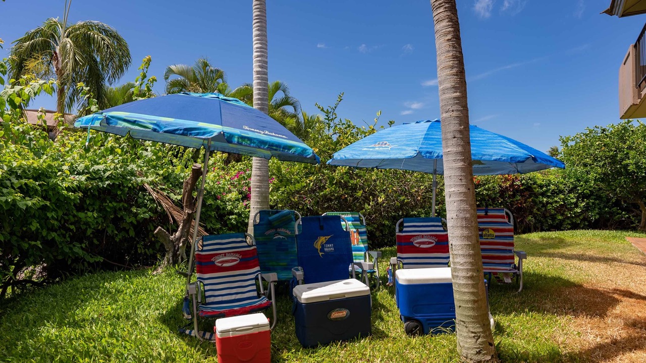 Photo of Others in Kaanapali