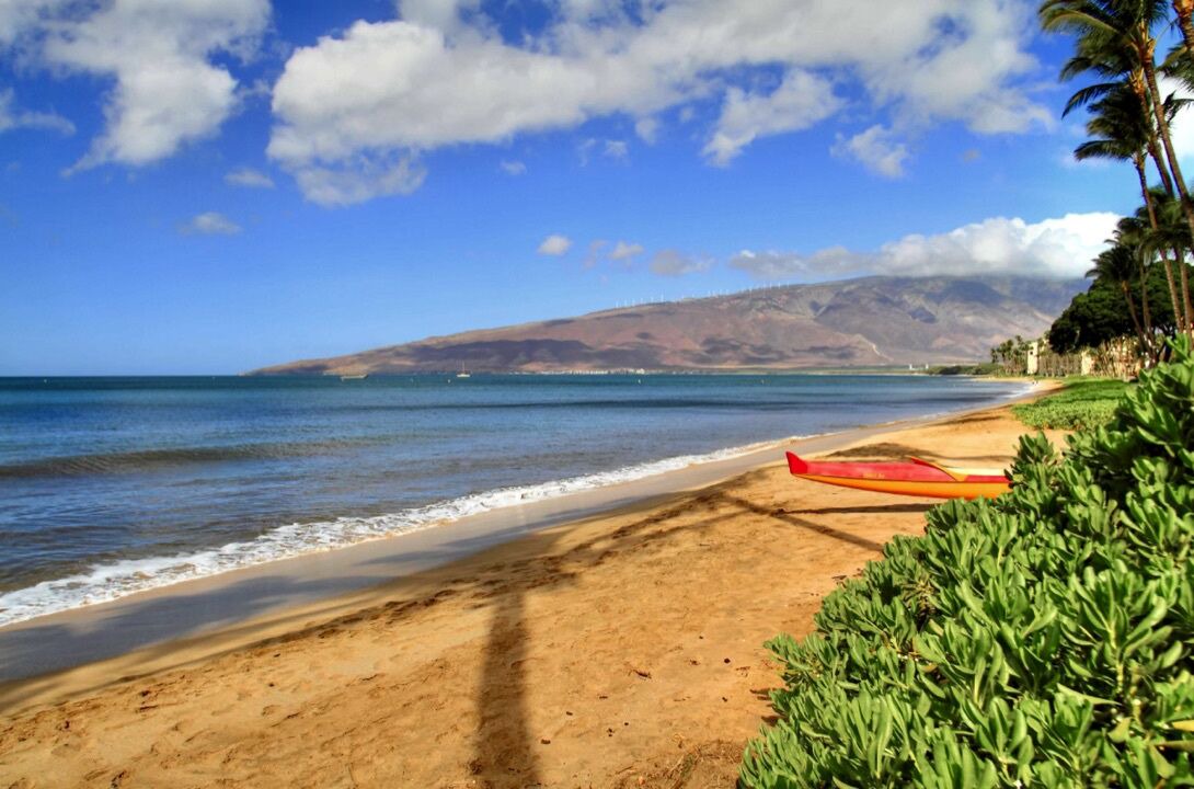 Photo of Others in Kihei