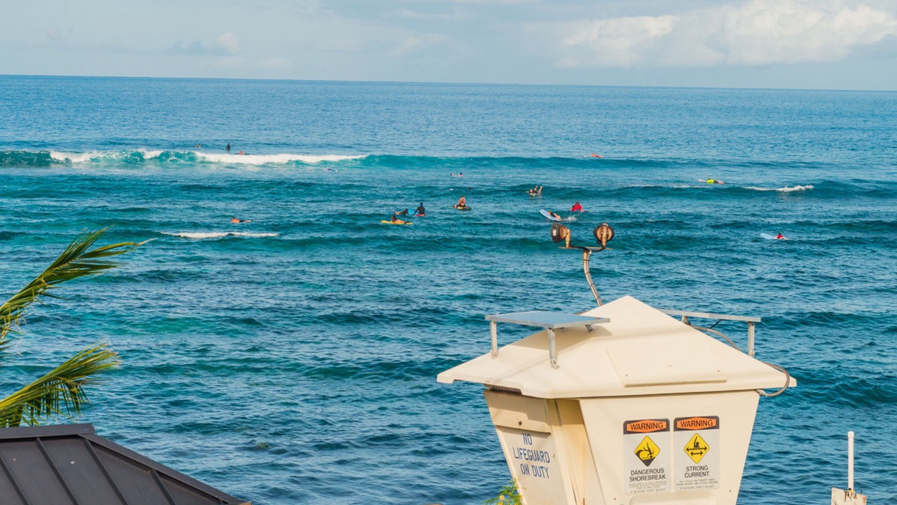 Photo of Others in Kahaluu Bay