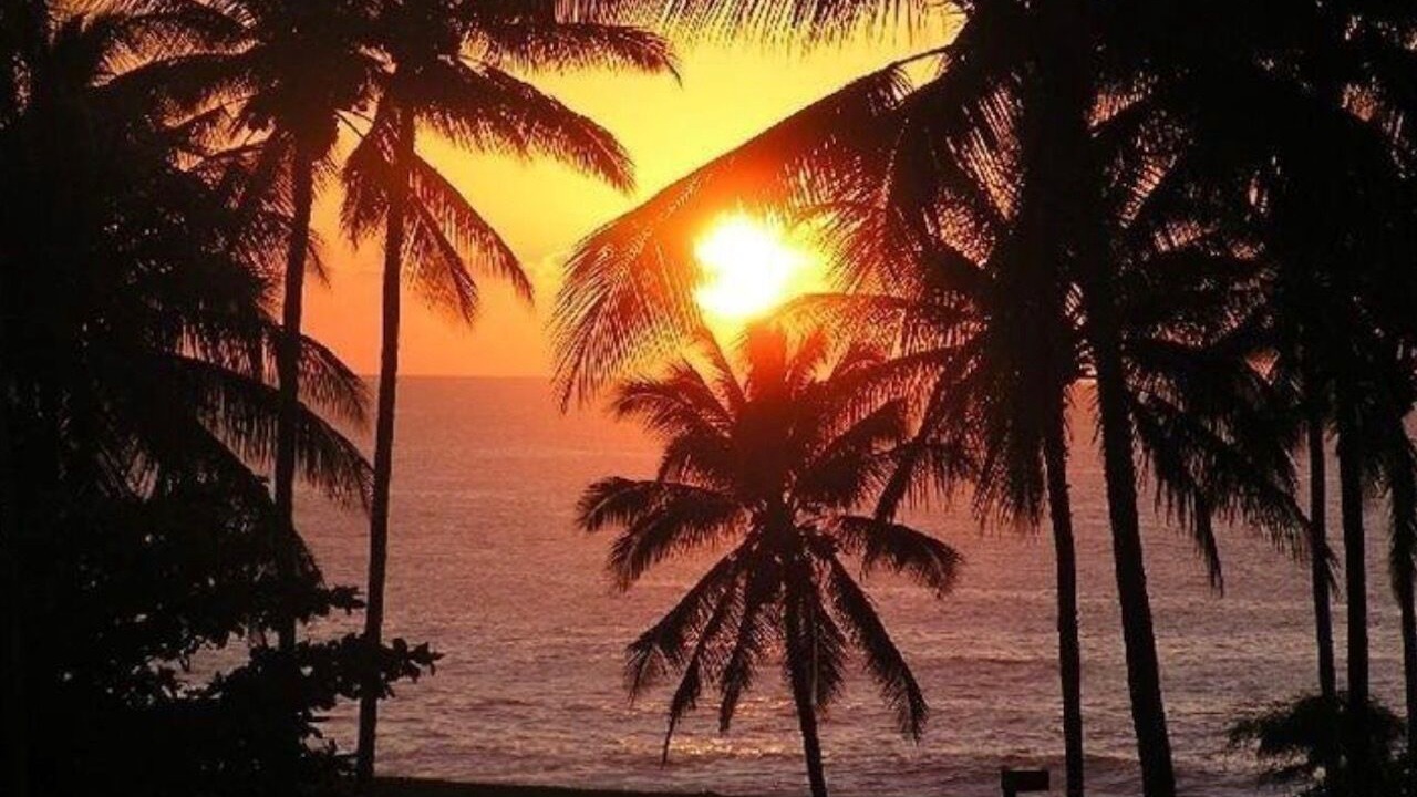 Photo of Others in Maunaloa