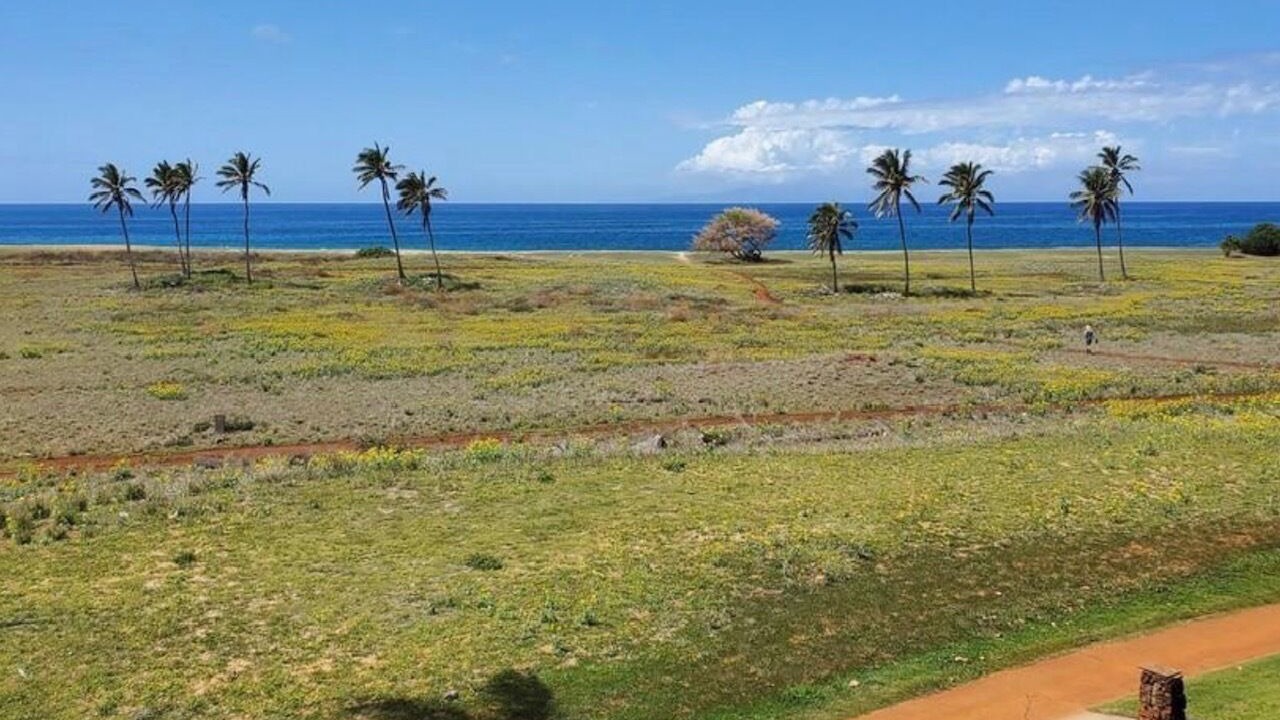 Photo of Others in Maunaloa