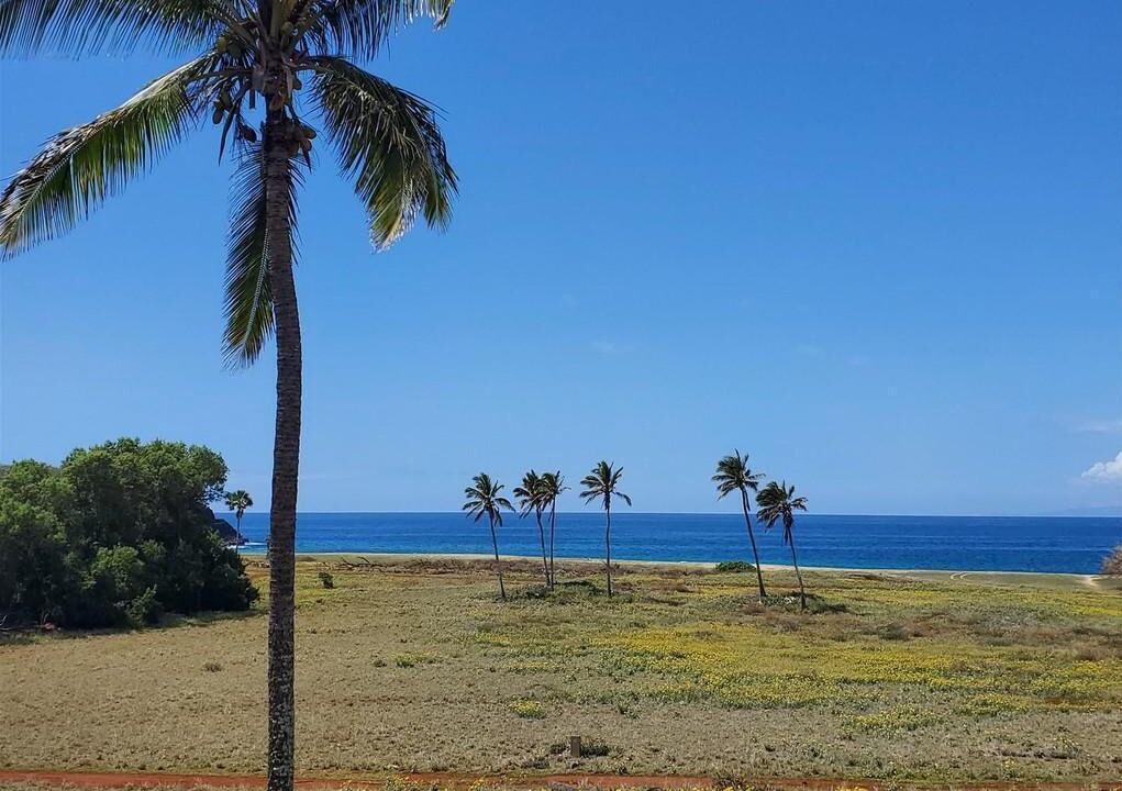 Photo of Others in Maunaloa