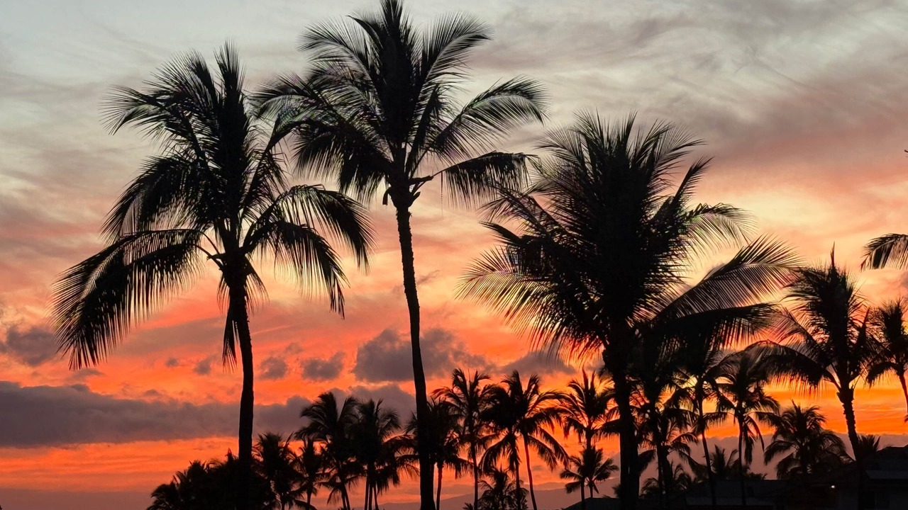 Photo of Others in Wailea
