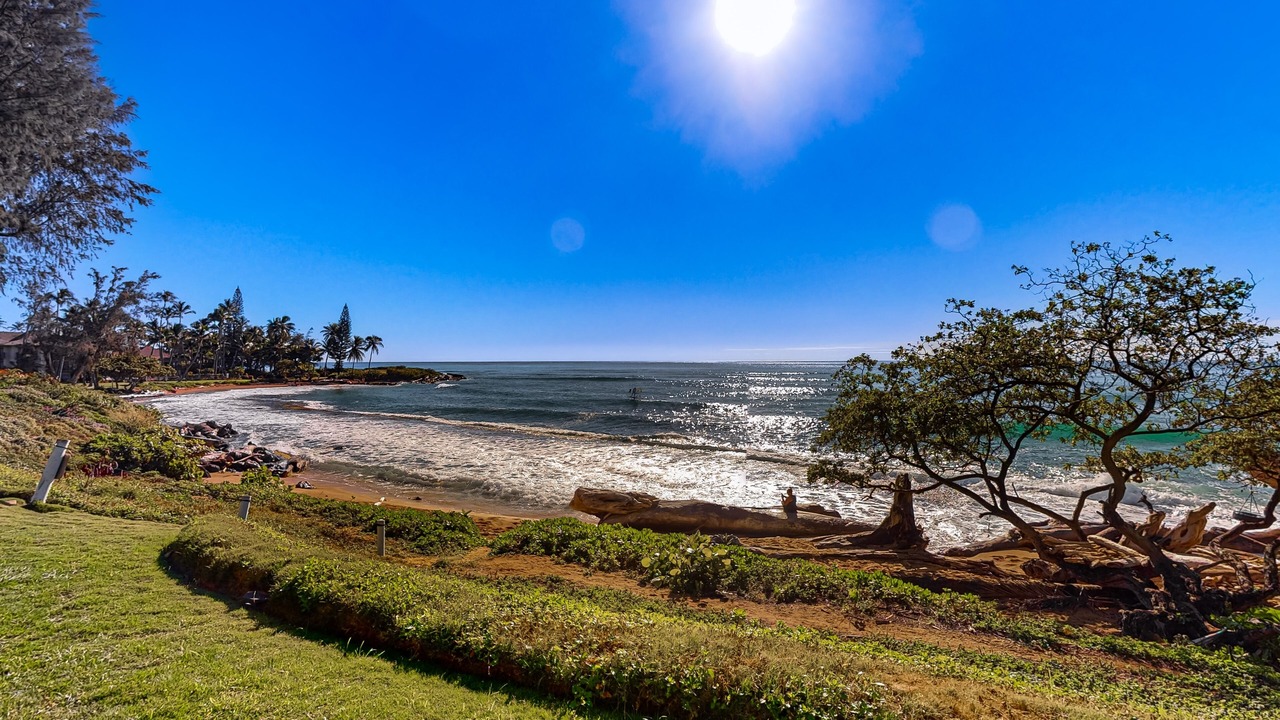 Photo of Others in Wailua